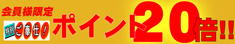 ����!!��꥿��Ȭɴ���������᤹�����͸��ꡢ�ݥ����20�ܤ����̥����ӥ����ʤǤ��� 
