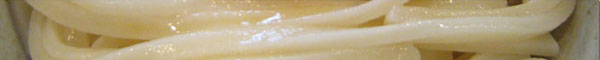 udonlogo.jpg